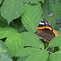P1090015 (2)