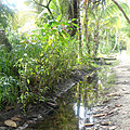P1250349