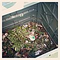 Mon compost ne fait pas cot-cot mais il recycle !
