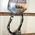 Divergent merchandising 10