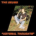The drums – abysmal thoughts (2017)