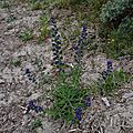 _IGP5379 (2)
