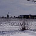 IMGP1263