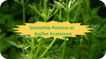 8 GAILLET GRATTERON(4)Smoothie Pomme et GG-modified