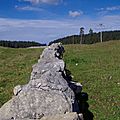 _IGP7458