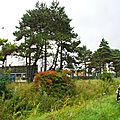 IMGP9474