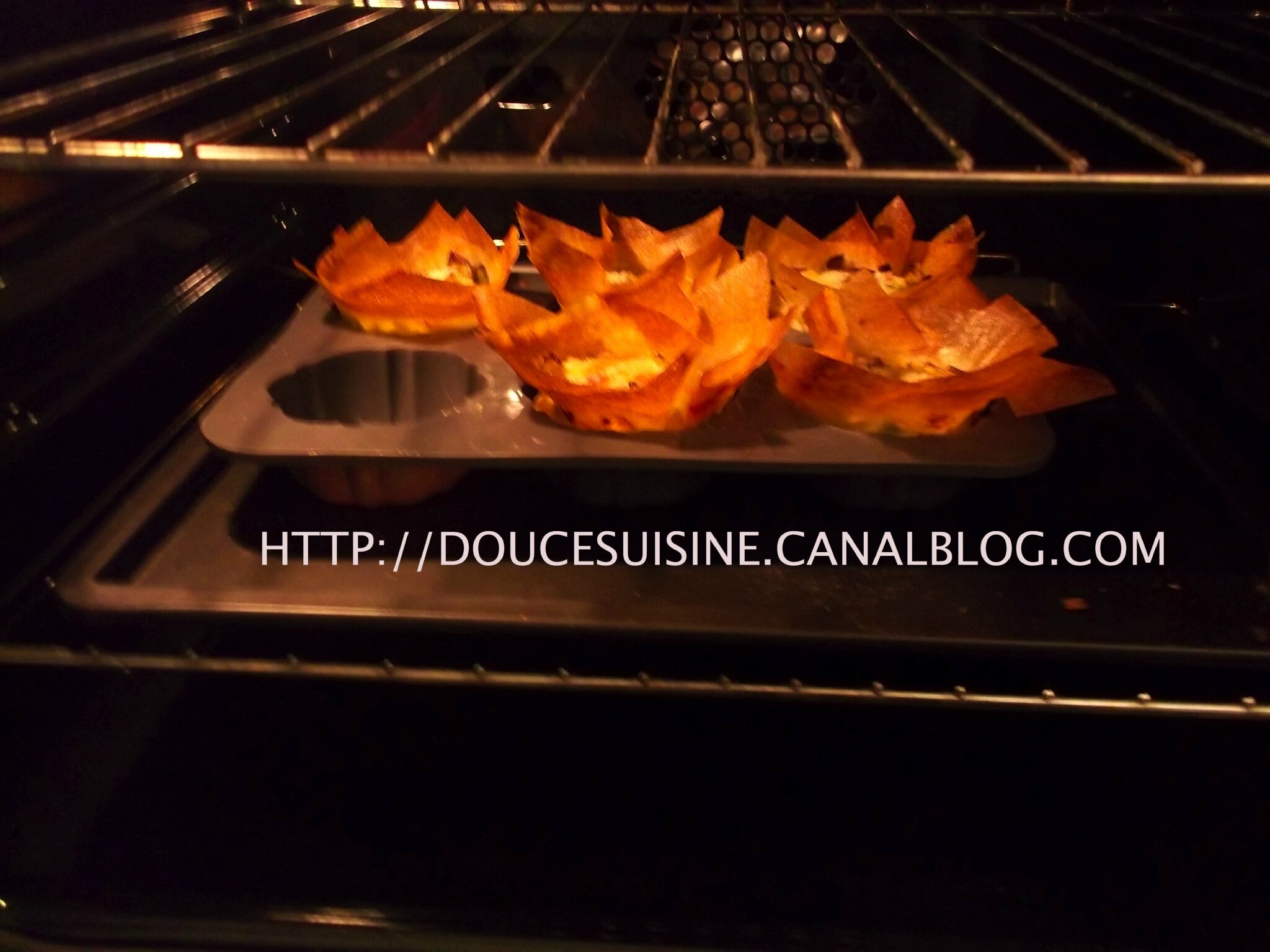 FLEURS CROUSTILLANTES - DOUCE CUISINE