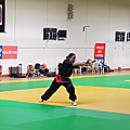 LISE KUNG FU Tradi - Médaille d'Argent