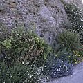 _DSC0173