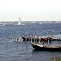Aveiro-18
