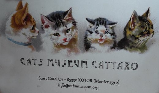 le-musee-des-chats-a