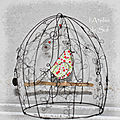Cages fil de fer pour oiseaux libres