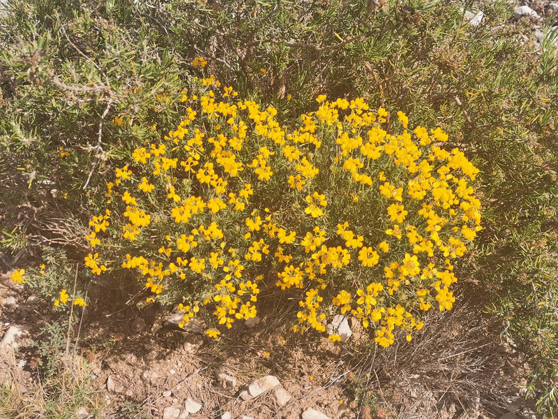 IMG-20220429-WA0010