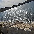 _DSC0187