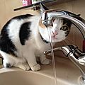 Canicule... consignes !