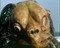 le diable des mers