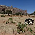 P1040741