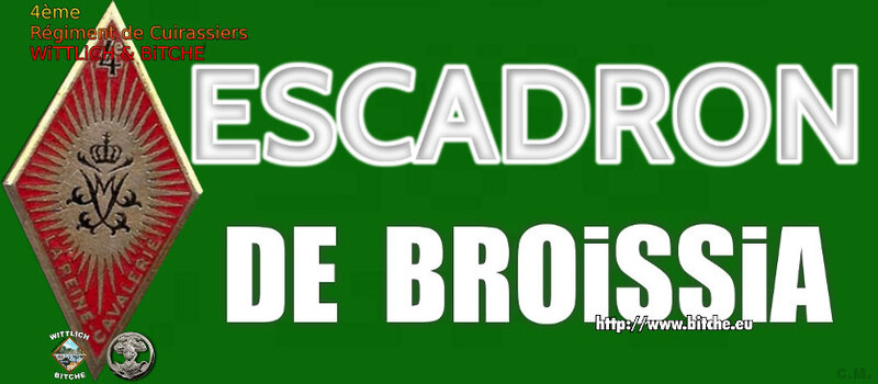 - PANNEAU d' ESCADRON CAPiTAiNE DE BROISSIA