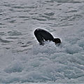 IMG_8673