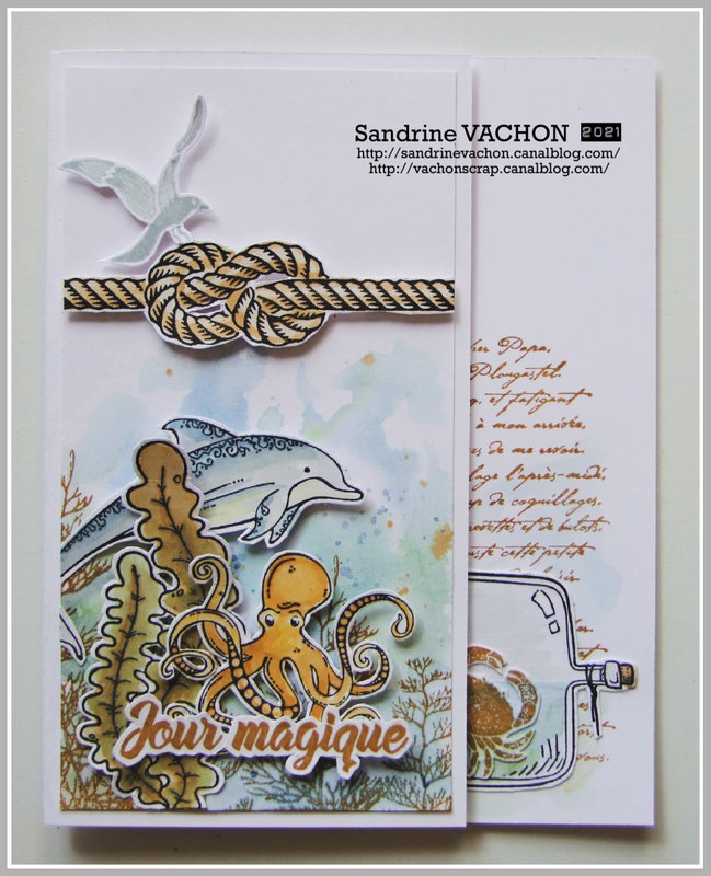 Sandrine VACHON défi 699 dt PCC (1)