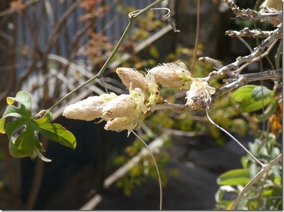P1150770