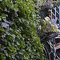 _DSC0006