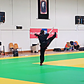 MYLENE KUNG FU Tradi - Médaille d'Or