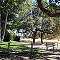 Neverland