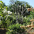 P1120902