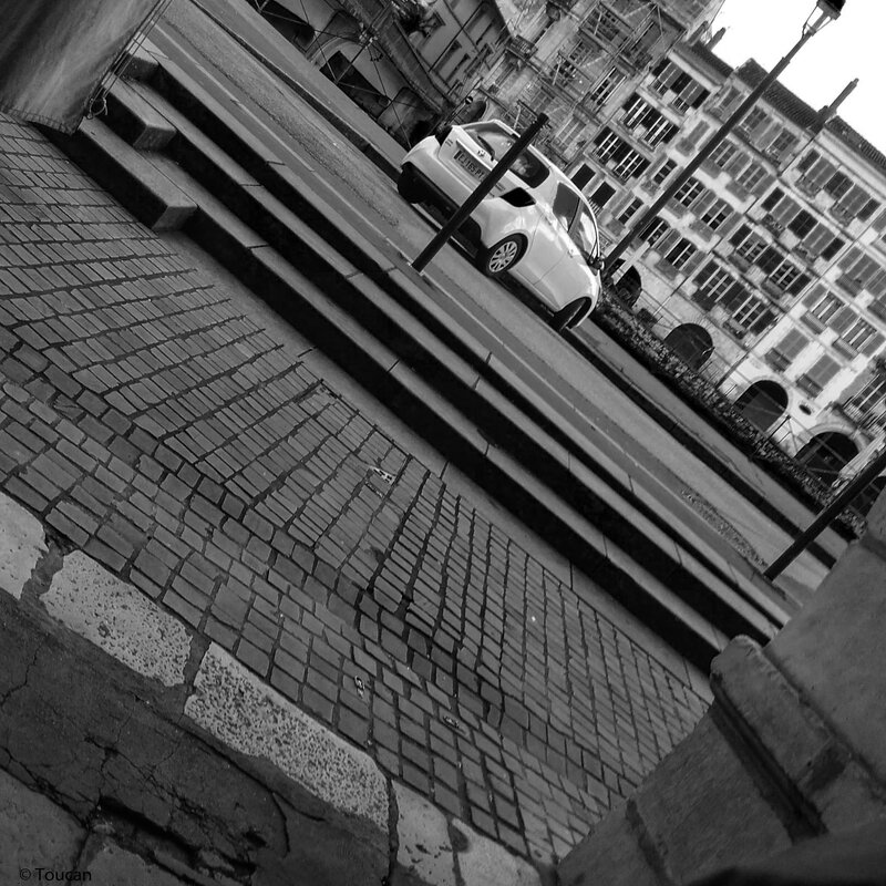 Défi 16 Contraste intense TL (2)