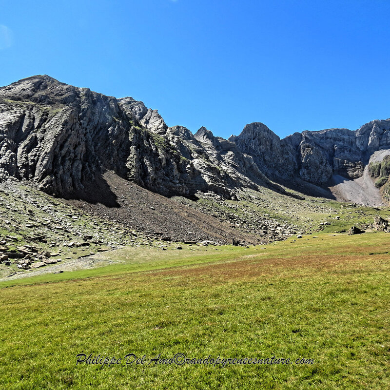 IMG_8221_DxO