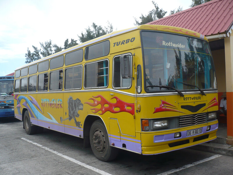 ASHOK LEYLAND autobus Rottweiler Port Mathurin (1)
