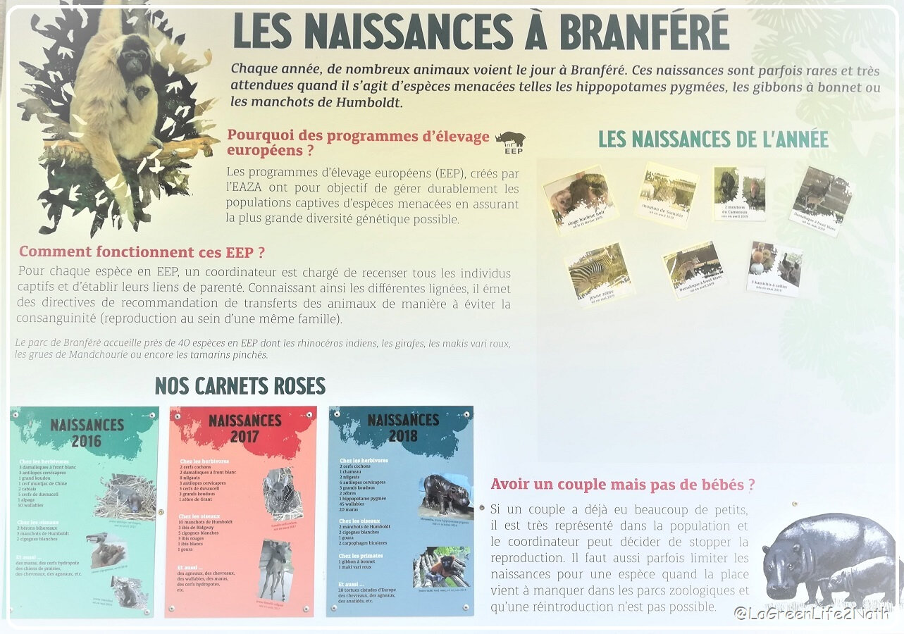  Branféré, Parc Animalier Et Tourisme Durable En Morbihan