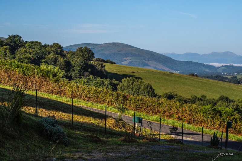 17082019-_MG_5547