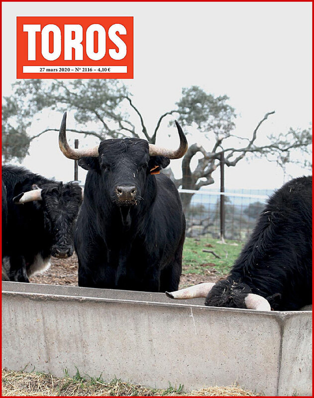 COUV TOROS 2116-page-001