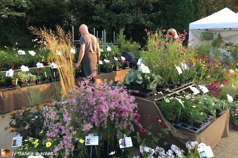 O-Jardin-des-plantes-4