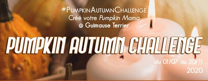 pumpkin-autumn-challenge-2020-1