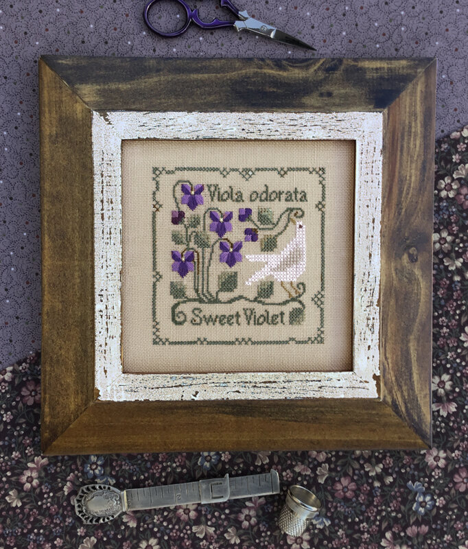 sweetviolet_big