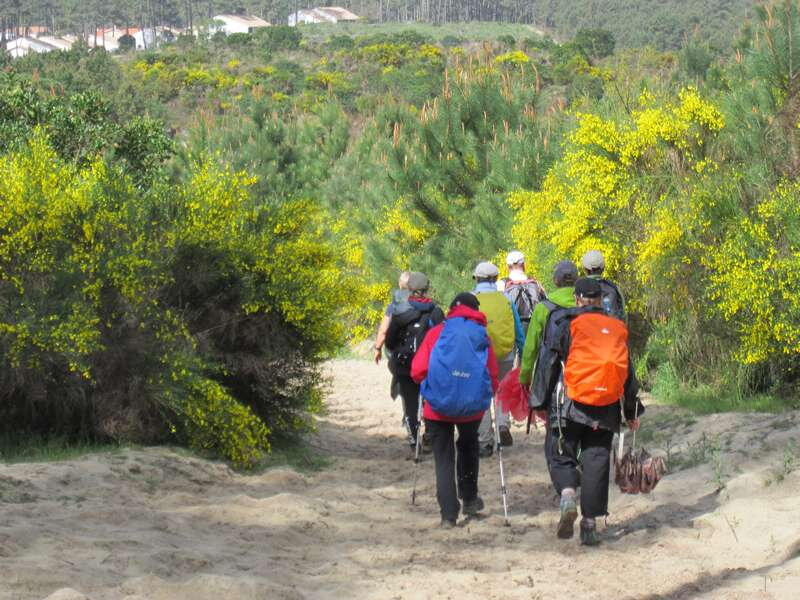 1_BiscarrossePlage-2