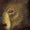 untitled2