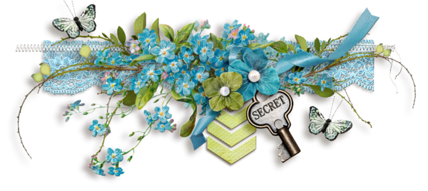Barre myosotis