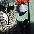 20191012_122643