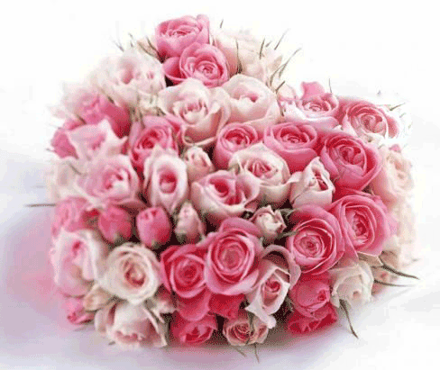 ♥ Octobre, le mois du rose ♥ - ♥ Mon jardin du Bonheur ♥