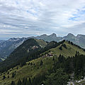 IMG_8203