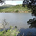 DSC08240