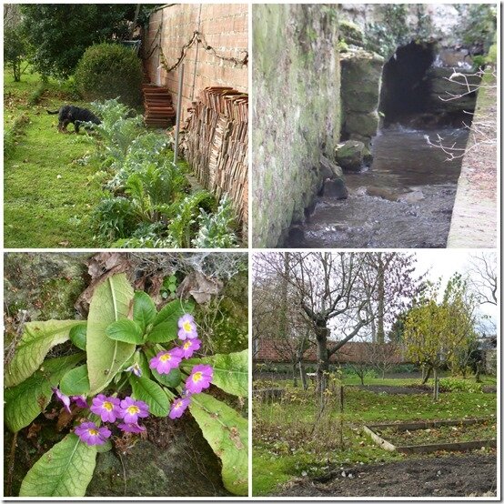 jardin 14 décembre 20204
