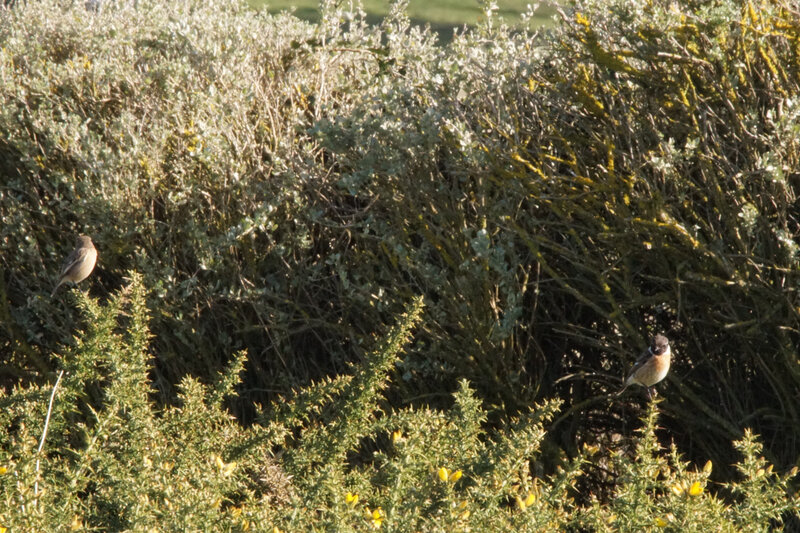 DSC04584