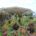 2009 - Mozart & Haydn au Parc Floral