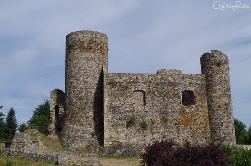 château d'Urfé (2)